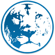 BlueZoo-190x190